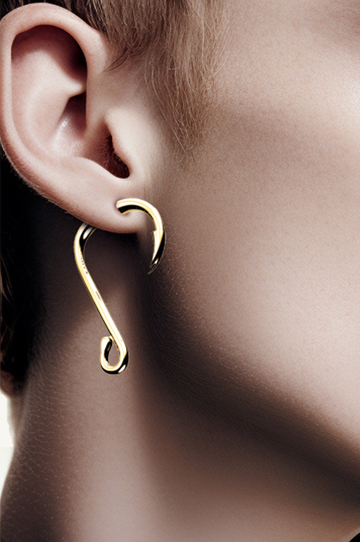 Earrings hot sale with hook